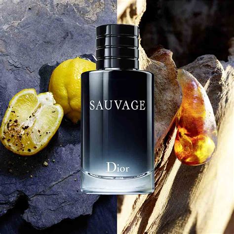 sauvage dior fiyat 100 ml|Dior Sauvage edt refill.